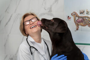 Kdy jít se psem k veterináři když má zánět v uchu