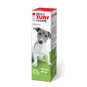 Péče o zuby a dásně