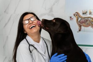 pes po prohlidce u veterinare